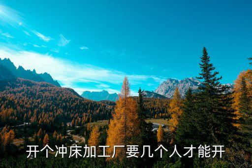 開(kāi)個(gè)沖床加工廠(chǎng)要幾個(gè)人才能開(kāi)