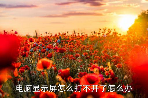 電腦顯示屏怎么打不開了怎么辦