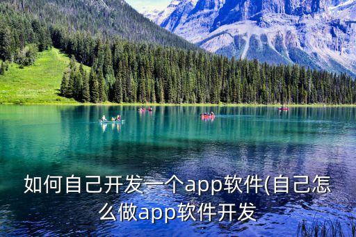 軟件開發(fā)技術(shù)方案,軟件開發(fā)方法?上手難度低的開發(fā)框架
