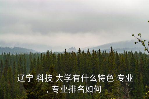  遼寧 科技 大學(xué)有什么特色 專業(yè), 專業(yè)排名如何