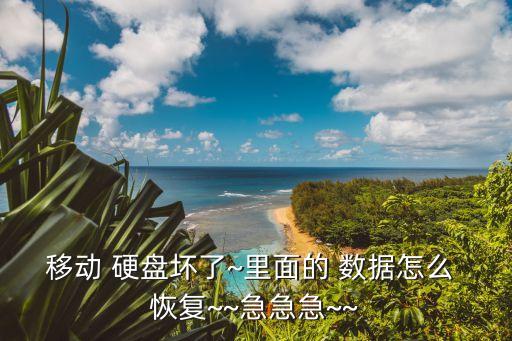 移動 硬盤壞了~里面的 數(shù)據(jù)怎么 恢復(fù)~~急急急~~