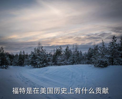 福特主義,后福特主義與豐田主義之別