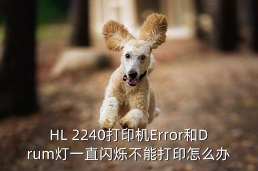 2240,打印機(jī)error和drum燈一直閃爍怎么辦?