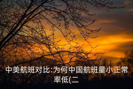 中美航班對(duì)比:為何中國(guó)航班量小正常率低(二