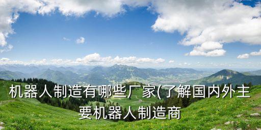 機(jī)器人制造有哪些廠家(了解國(guó)內(nèi)外主要機(jī)器人制造商