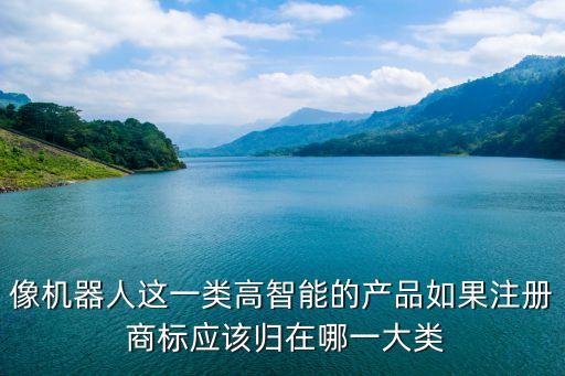 像機(jī)器人這一類高智能的產(chǎn)品如果注冊 商標(biāo)應(yīng)該歸在哪一大類