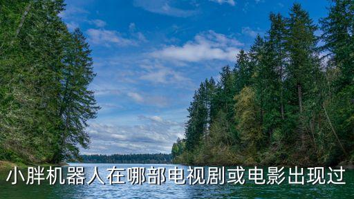小胖機(jī)器人在哪部電視劇或電影出現(xiàn)過