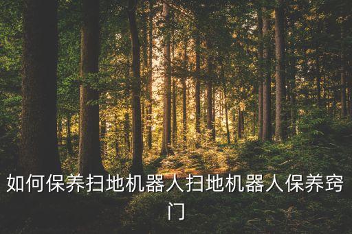 如何保養(yǎng)掃地機器人掃地機器人保養(yǎng)竅門