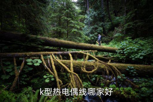 k型熱電偶線哪家好