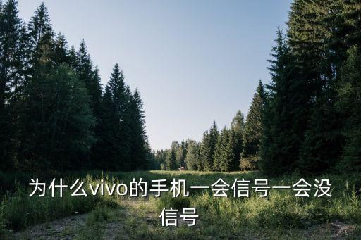 數(shù)據(jù)一會(huì)有一會(huì)沒(méi)有信號(hào),手機(jī)信號(hào)一會(huì)有一會(huì)沒(méi)有怎么回事?