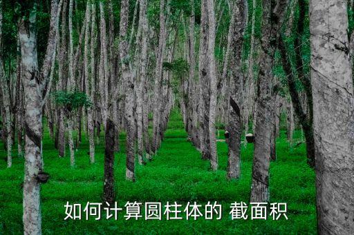 截面積,截面和面積是一樣的嗎?