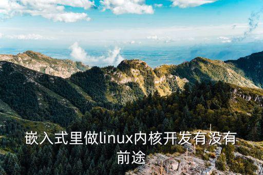 嵌入式里做linux內(nèi)核開發(fā)有沒有前途