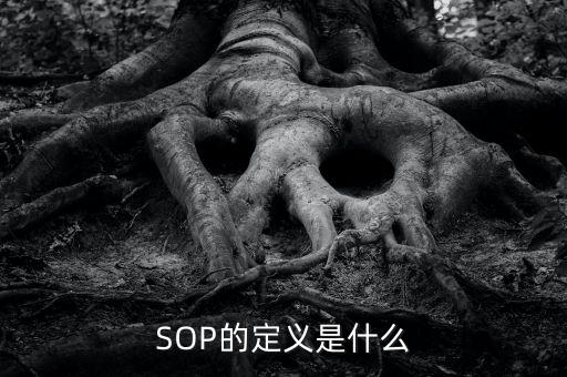 SOP的定義是什么