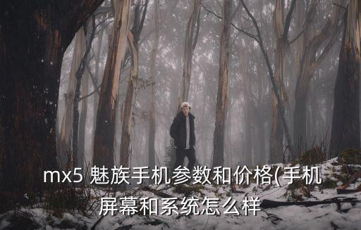 魅族mx5數(shù)據(jù)線是幾a的
