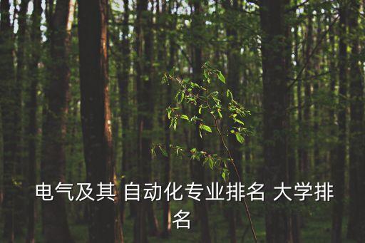  電氣及其 自動(dòng)化專(zhuān)業(yè)排名 大學(xué)排名