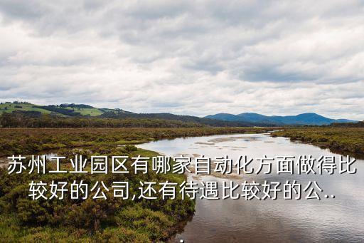 蘇州工業(yè)園區(qū)有哪家自動(dòng)化方面做得比較好的公司,還有待遇比較好的公...