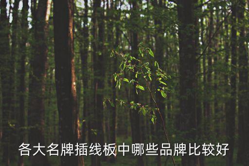 各大名牌插線板中哪些品牌比較好