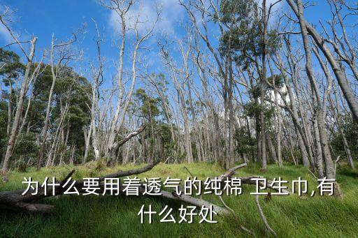 為什么要用著透氣的純棉 衛(wèi)生巾,有什么好處