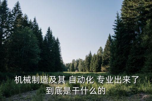有一個專業(yè)叫機械自動化