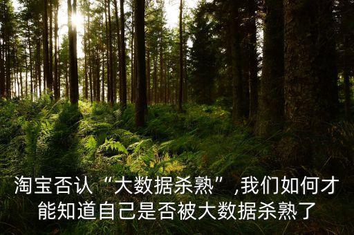 淘寶大數(shù)據(jù)是什么,寶寶打假根據(jù)什么來查的?