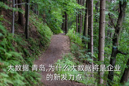 惠普大數(shù)據(jù) 青島,為什么大數(shù)據(jù)將是企業(yè)的新發(fā)力點(diǎn)