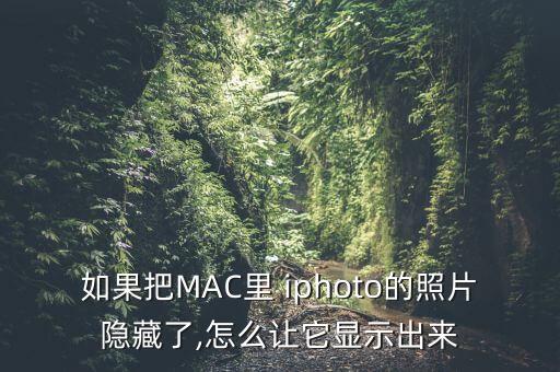 如果把MAC里 iphoto的照片隱藏了,怎么讓它顯示出來(lái)