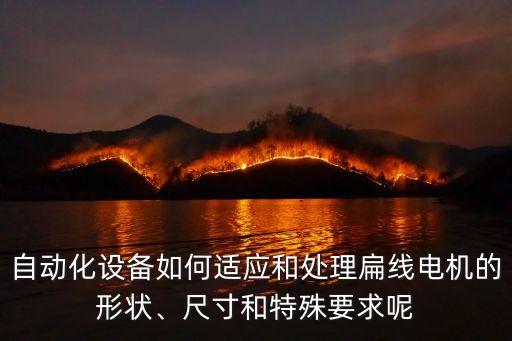 自動(dòng)化設(shè)備如何適應(yīng)和處理扁線(xiàn)電機(jī)的形狀、尺寸和特殊要求呢