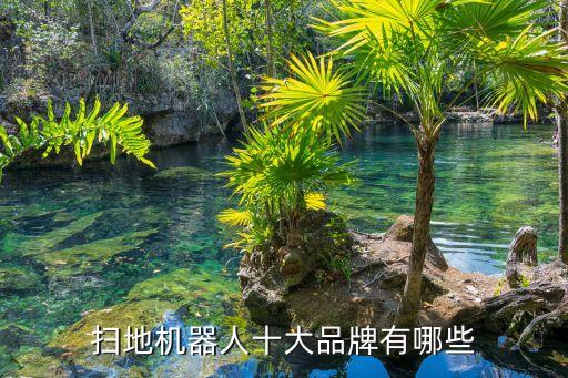掃地機(jī)器人十大品牌有哪些