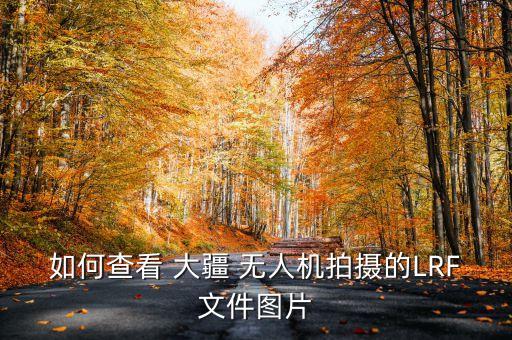 如何查看 大疆 無人機(jī)拍攝的LRF文件圖片
