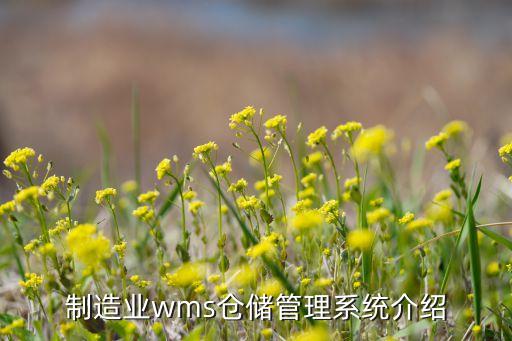 自動化存儲倉設備廠家,自動化立體倉庫有何優(yōu)勢?