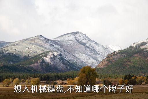 想入機(jī)械鍵盤,不知道哪個(gè)牌子好