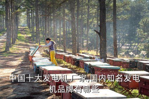 中國十大發(fā)電機(jī) 廠家,國內(nèi)知名發(fā)電機(jī)品牌有哪些