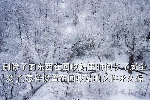 刪除了的東西在回收站里時(shí)間長(zhǎng)了就全沒(méi)了,怎樣設(shè)置在回收站的文件永久保...
