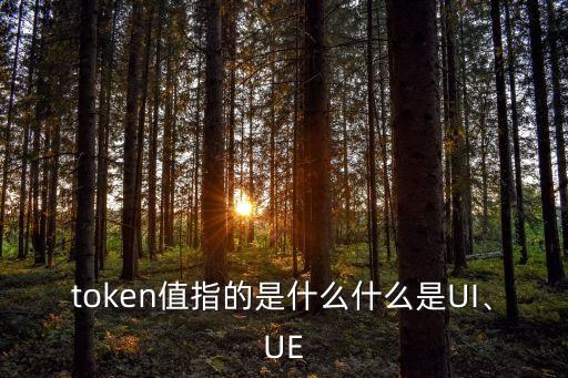 token值指的是什么什么是UI、UE