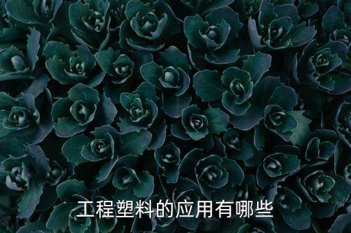 工程塑料的應(yīng)用有哪些