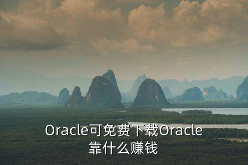 數(shù)據(jù)庫賺錢,網(wǎng)商數(shù)據(jù)對(duì)沖任務(wù)賺錢是真的嗎?