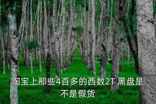 西部數(shù)據(jù)二代固態(tài)黑盤