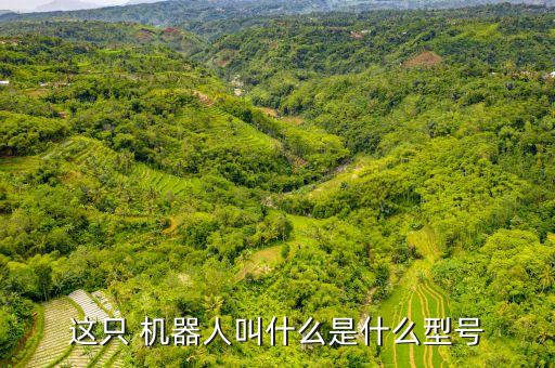 這只 機(jī)器人叫什么是什么型號(hào)