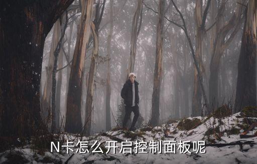 n卡,顯卡a卡和n卡的區(qū)別
