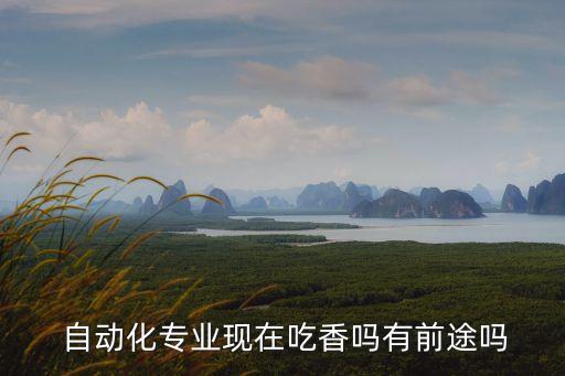  自動化專業(yè)現(xiàn)在吃香嗎有前途嗎