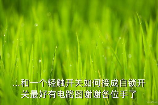 ...和一個輕觸開關(guān)如何接成自鎖開關(guān)最好有電路圖謝謝各位手了