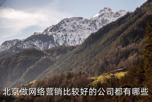 大數(shù)據(jù)公司 排行,全球大數(shù)據(jù)公司排名