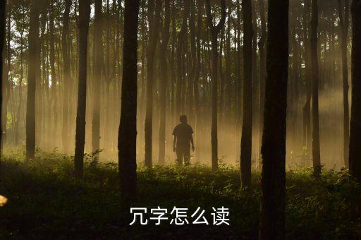 冗余怎么讀,安全冗余怎么讀