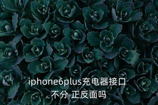 iphone6plus充電器接口 不分 正反面嗎