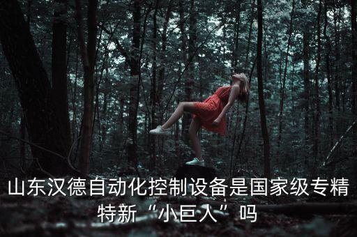 山東漢德自動化控制設備是國家級專精特新“小巨人”嗎