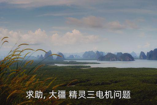 求助, 大疆 精靈三電機(jī)問題