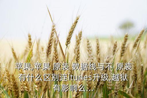 蘋果,蘋果 原裝 數(shù)據(jù)線與不 原裝有什么區(qū)別連itunes升級,越獄有影響么...