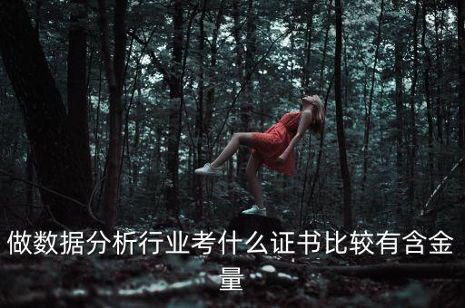 做數據分析行業(yè)考什么證書比較有含金量
