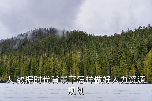 大 數(shù)據(jù)時代背景下怎樣做好人力資源規(guī)劃
