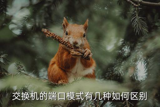 交換機(jī)的端口模式有幾種如何區(qū)別